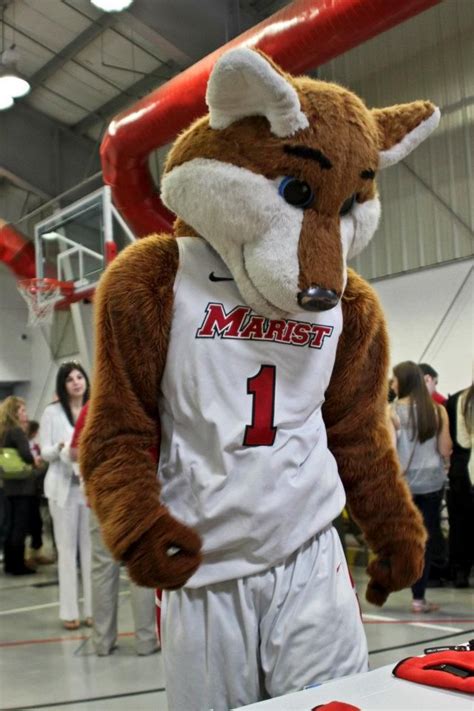 The Challenges and Rewards of Wearing a Fox Mascot Disguise: Insider Perspectives